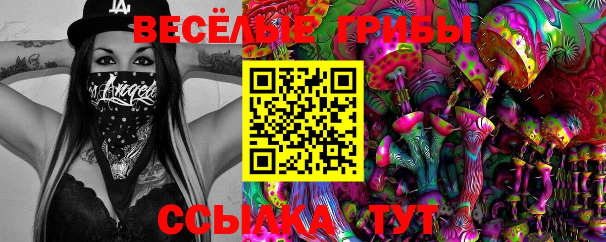 Галлюциногенные грибы мухоморы Азнакаево