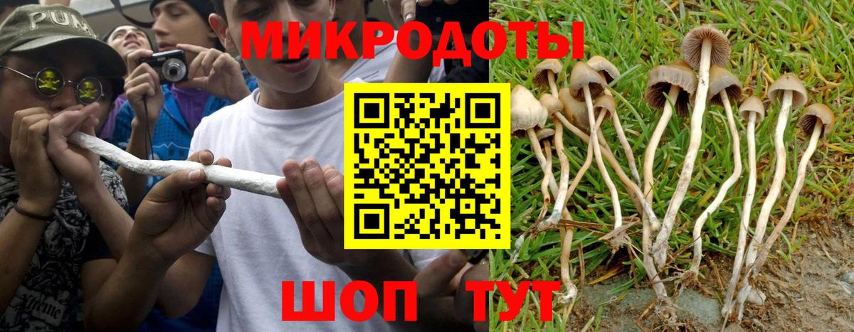 Азнакаево  Псилоцибиновые грибы GOLDEN TEACHER  Галлюциногенные грибы Psilocybine cubensis  Вход с VPN 